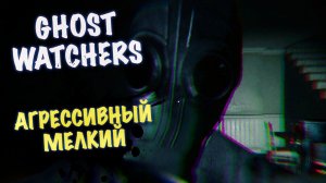 ЛОВИМ ПРИЗРАКОВ В GHOST WATCHERS СОЛО / АГРЕССИВНЫЙ МАЛОЙ