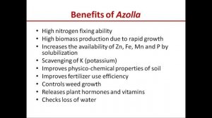 Azolla and BGA | Azolla and Anabaena azollae symbiosis | Symbiotic nitrogen fixation | Biofertilize