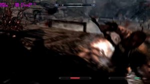 TES V Skyrim Maxed out on AMD Radeon HD 6950 2GB Full HD