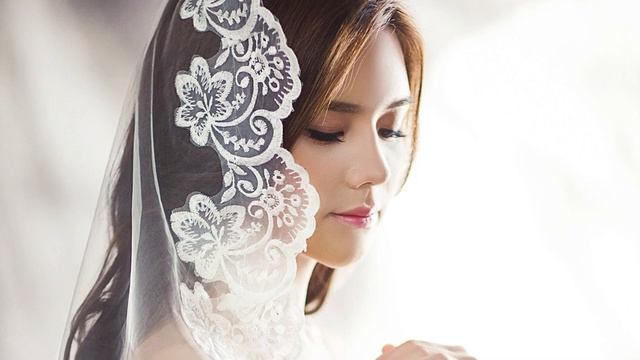 Примета птица бьется в окно | Народные приметы о птицах