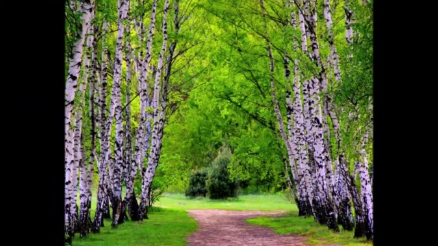 Нектаром России берёзка зовётся смотреть онлайн