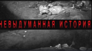 Невыдуманная история