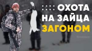 ОХОТА НА ЗАЙЦА ЗАГОНОМ! ДОБЫЛИ НЕ ТО ЧТО ЖДАЛИ!