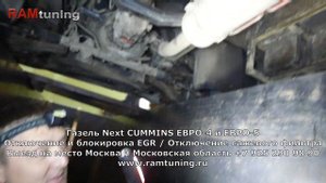 Прошиваем сразу три Газели Камминс 2.8: глушим ЕГР и отключаем сажевые фильтры