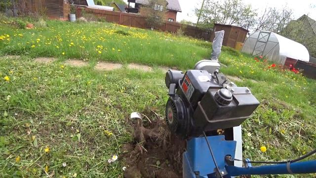 МОТОКУЛЬТИВАТОР КРОТ. ДАЧНЫЕ ХЛОПОТЫ. ПАШЕМ КРОТОМ. ЗАСИЛЬЕ ЛИЧИНКИ МАЙСКОГО ЖУКА. смотреть онлайн