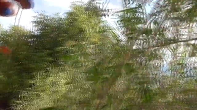 Как мы ездили в КРЫМ ❤️ .Мыс Фиолент и Яшмовый пляж.❤️