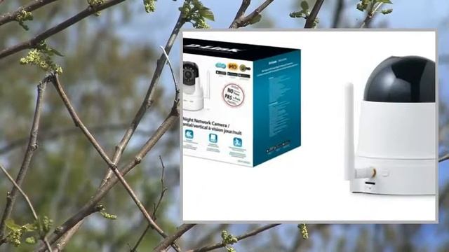 DLink DCS5222L telecamera смотреть онлайн