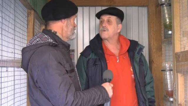 "УДачи!"_В пернатом царстве смотреть онлайн