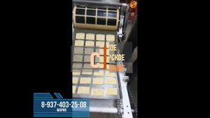 Формовочная машина для сахарного печенья на противень СУРА-РМП
