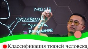 Классификация тканей человека. 8 класс.