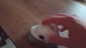 KCx smart hoover