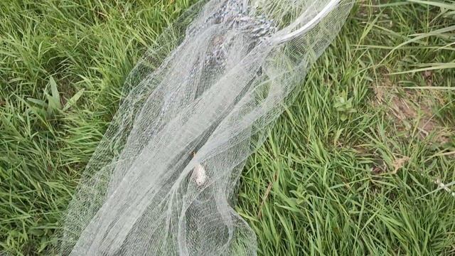 Удачный бросок кастинговой сети американского типа на горной реке смотреть онлайн