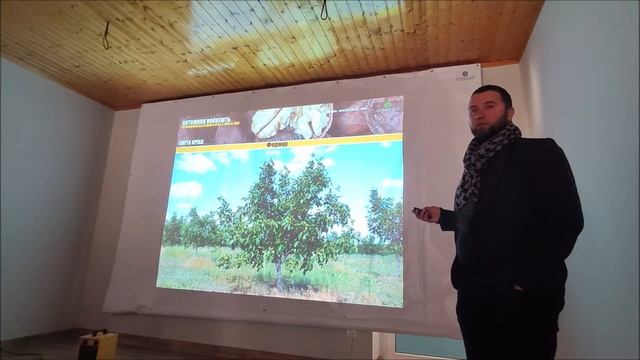 Качества лучших сортов Грецкого ореха Песчанский Чандлер Овата Серр Туларе Фернор Лара и другие смотреть онлайн