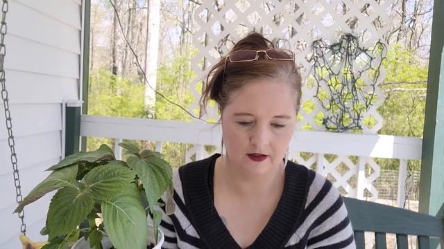 Perilla leaves Shiso plants planting growing and more смотреть онлайн