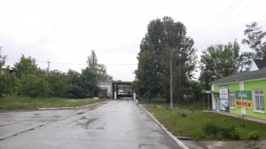 топ 5 причин зачем вам нужно завести собаку, какую породу собак выбрать для дома и семьи ???