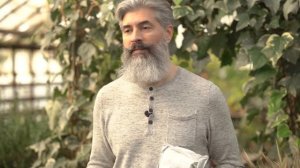 Грунт для всех видов фикусов и пальм. Почвогрунт Пуршат