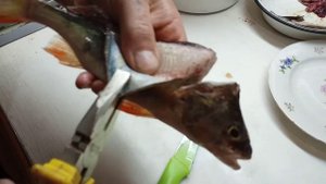 чистим окуня плоскогубцами