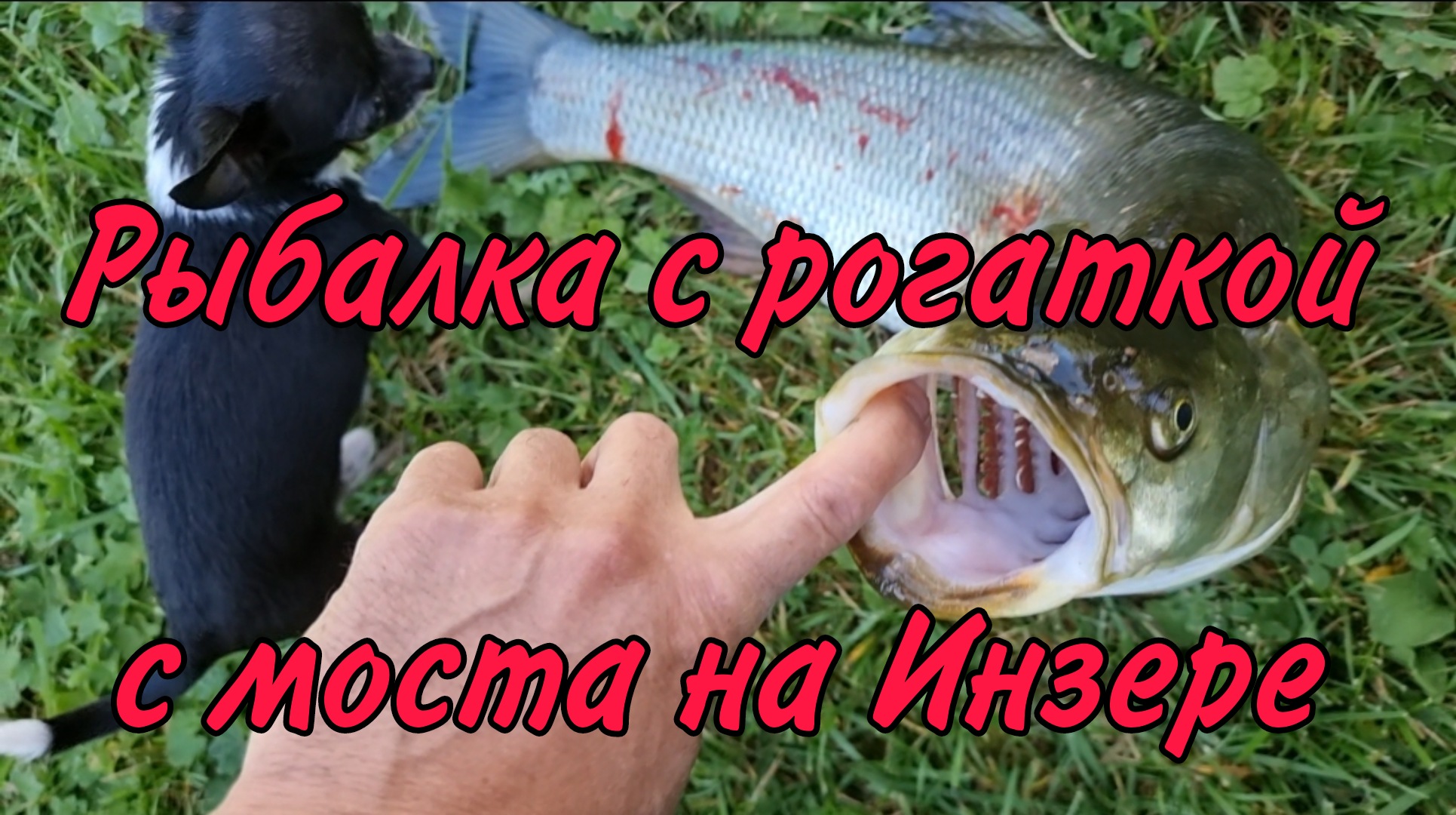Рыбалка с рогаткой на Инзере ч.2