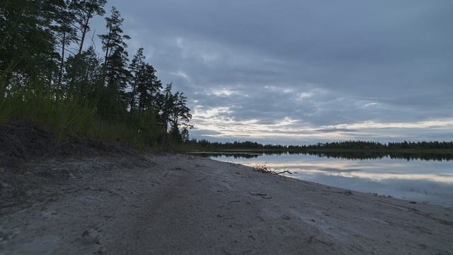 Ночной лес таймлапс видео Лух Milky Way the river Luh Timelapse
