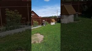 Дача Еловый бор 1