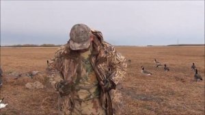 Охота на гусей в Канаде поздней осенью, 7 октября 2012.