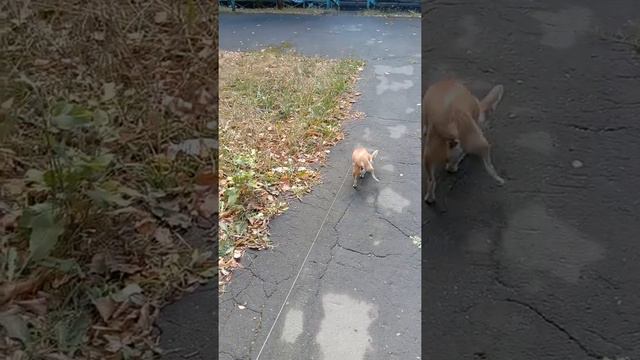 Уговариваю Сеню домой пойти.Сейчас у нас будет вкусно и тепло.