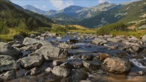 Ильфан Мурадов — Ты моя душа saxur mahnisi😍.цахурские песни..