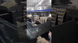Птицефабрика Натухаевская , обзор как взвешивают яйца по категориям , и упаковывают в коробки ? ???