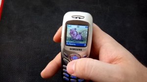Обзор телефона Samsung SGH C200