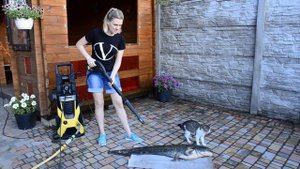 Чистка рыбы Керхером от чешуи Сом речной