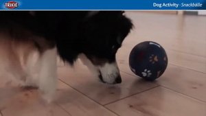 Trixie SNACK BALL интерактивная игрушка для собак