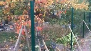 3Д Забор из сварной сетки под ключ. Установка забора 3D. Монтаж секционных ограждений.