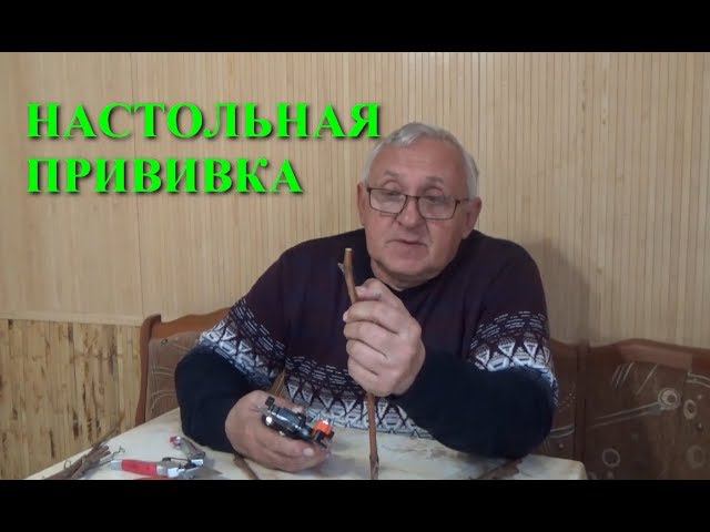 Как делать настольные прививки винограда www.vinograd-kriulya.com смотреть онлайн