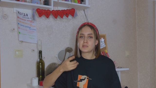 как ухаживать за кошкой? я завела котёнка...