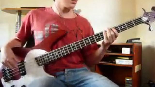 Aerosmith Cryin' (Bass Cover) смотреть онлайн