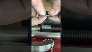 Новая паразитка для Корсара