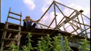 И  Круг - Лес да река