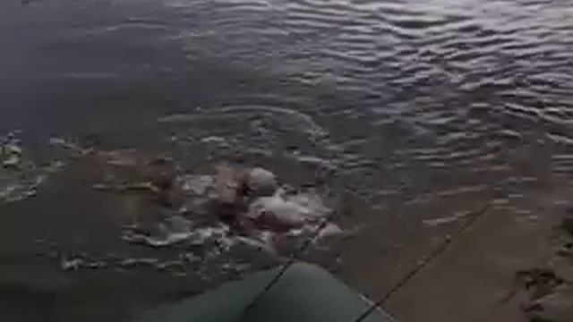 изи бизи!!! смотреть онлайн