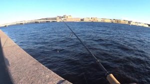 #Street_Fihing #Санкт_Петербург Рыбалка на Неве