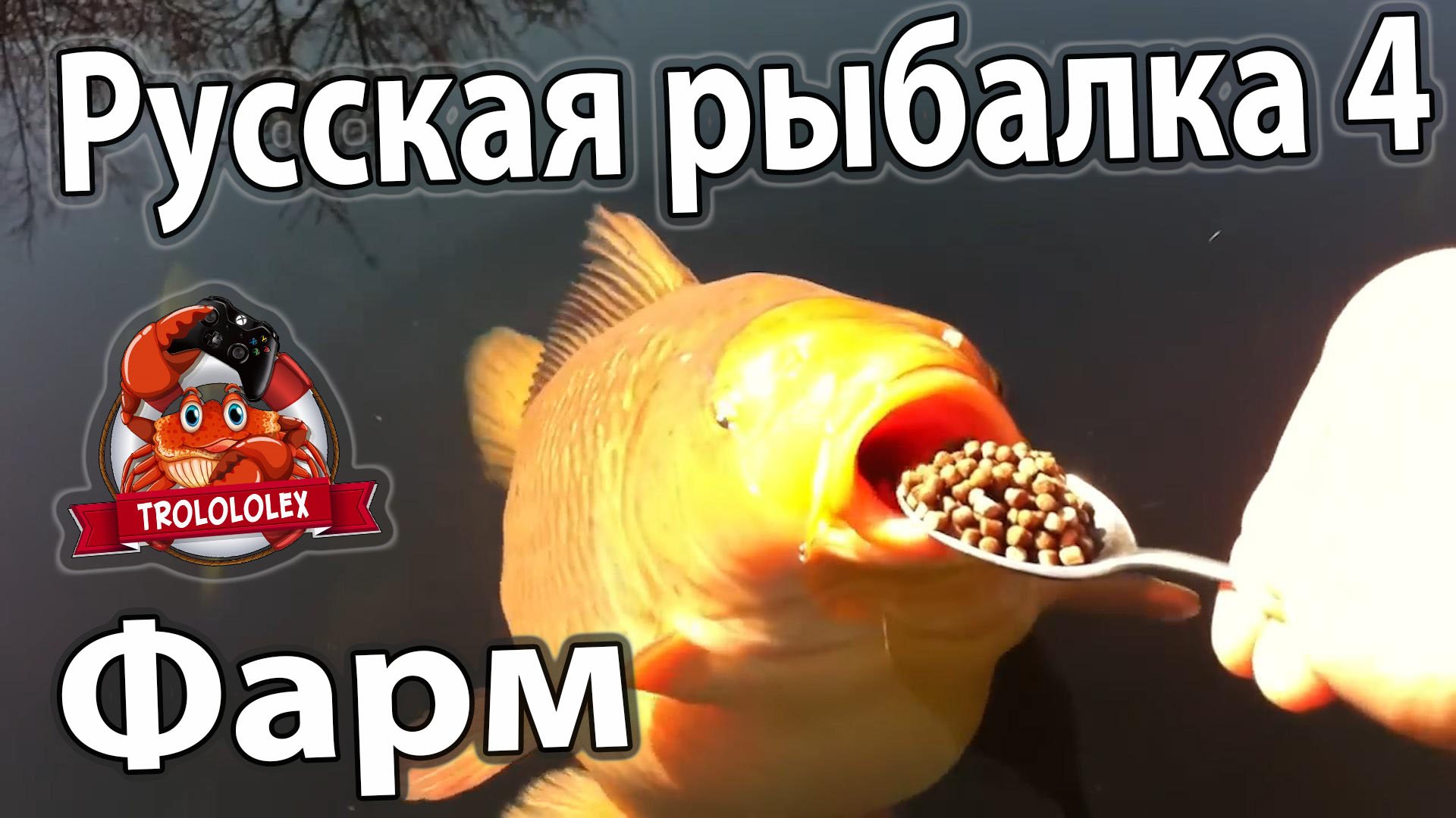 Русская рыбалка 4. Фарм на Янтарном. Трофеи карпов.mp4