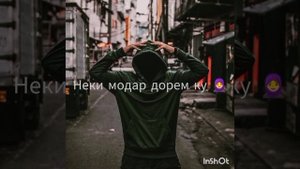Shnaps aka rohati. Басай?