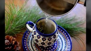 Полезные свойства сосновой хвои