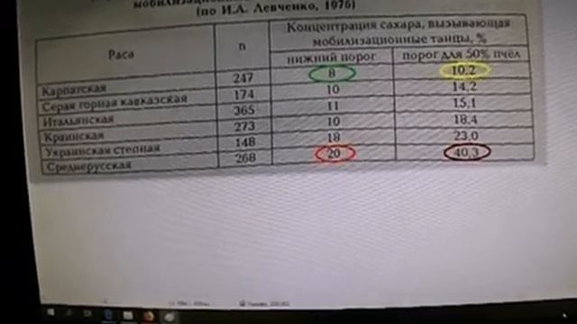 какую выбрать породу пчел, чтобы мед хорошо носила
