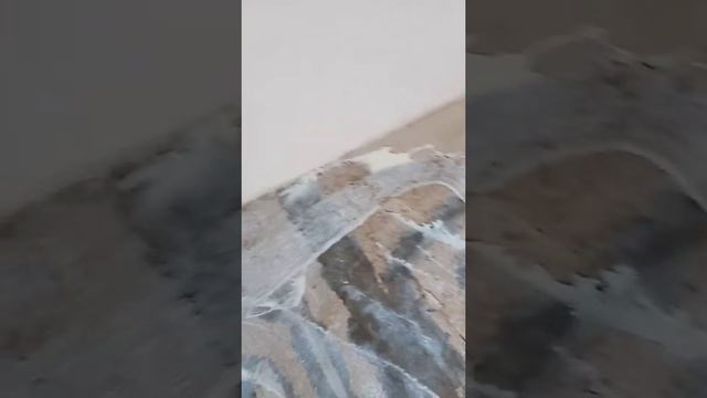 Dostlar nalivniy pol qoyiishdan oldin nima qilish kerak albattta vedeoni koring смотреть онлайн