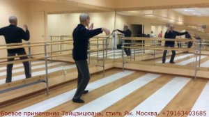 Боевой тайцзи-цюань