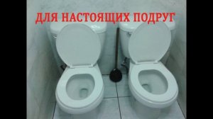 Почему девушки ходят в туалет парами?