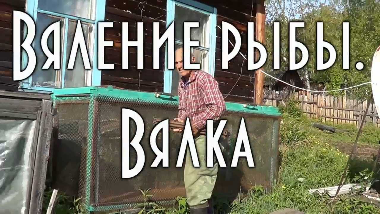 КАК ПОВЯЛИТЬ РЫБУ ПРАВИЛЬНО, Холодное копчение рыбы. Часть 3.1