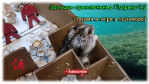 Большое Приключение Хомяка, Часть 1 - Игра в Кальмаре)