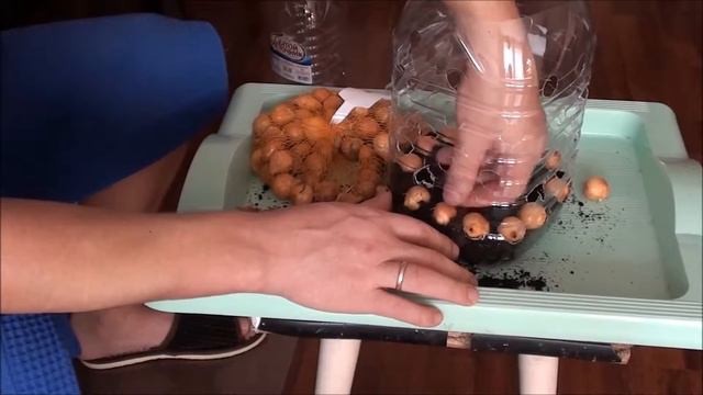 ч.1 лук на перо в 5 л банке смотреть онлайн