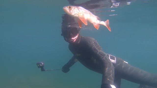 Поездка в челябинсую область на озеро Тургояк, нереально чистая вода, очень красивое голубое озеро смотреть онлайн